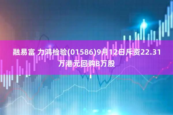 融易富 力鸿检验(01586)9月12日斥资22.31万港元回购8万股